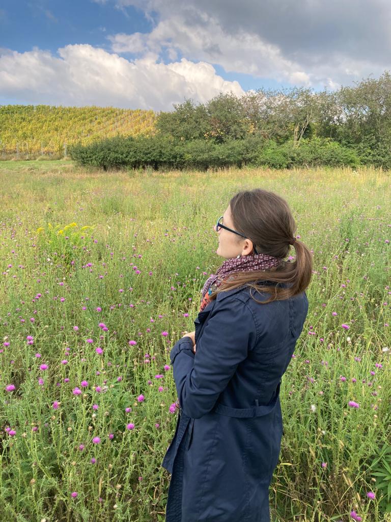 Wie alles begonnen hat…